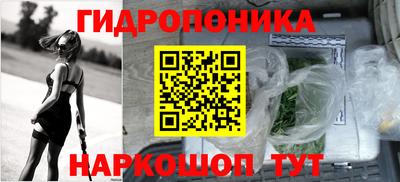 каннабис Кохма