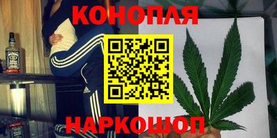 apvp Пугачёв