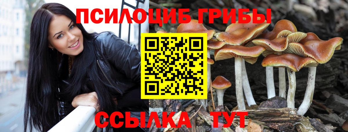 наркота  Псилоцибиновые грибы Psilocybe  Вход с VPN  Семёнов 